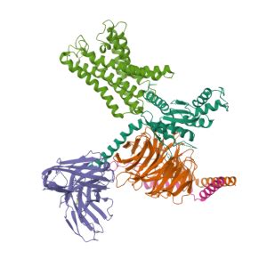 ADGRF1 Gene .